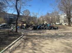 В Самарской области закуплили и арендовали еще мусоровозов