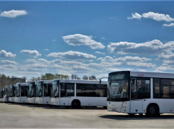 Автобусы маршрута №50 с 25 апреля изменят расписание движения