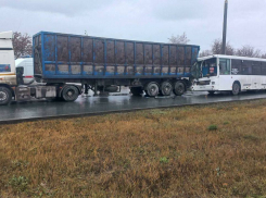 В Тольятти автобус с работниками АвтоВАЗа врезался в грузовик