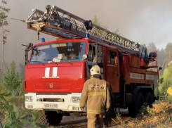 В Тольятти снова горит лес