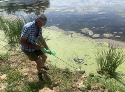 Специалисты обследовали озеро в Куйбышевском районе 