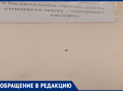 «Ну не в таком количестве!»: в самарской больнице №6 тараканы не дают пациентам спать