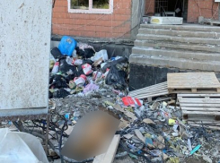 В Самаре рабочие-мигранты выбросили собаку с 10 этажа строящегося дома