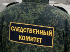Три случая отравления сидром зафиксированы в Пензенской области 
