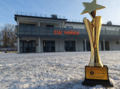 «Чайка» стала платной