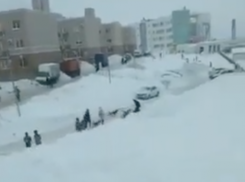 В микрорайоне Крутые Ключи в Самаре бродячие собаки набросились на ребёнка