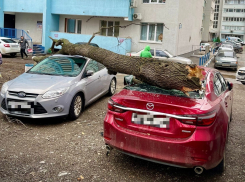 В Самарской области второй день бушует ураган: ветром снесло палатку, повредило газопровод, сорвало баннеры