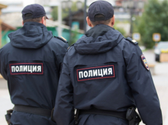 Отнял у женщины мобильник у убежал: в Самаре полицейские поймали странного воришку