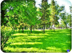 Федорищев поручил до конца года благоустроить Загородный парк