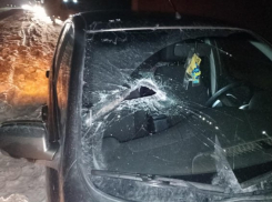 На трассе в Самарской области железный предмет из-под колёс грузовика пробил лобовое стекло встречного авто