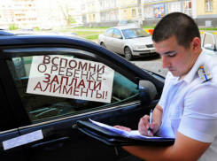 С больной головы на здоровую: в Самаре предлагают решить проблему «злостных» алиментщиков за счёт бюджета