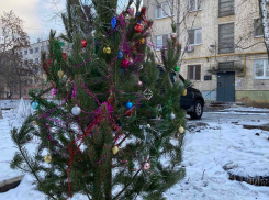 «Собрались всем двором»: как жители Самарской области украшают свои дома