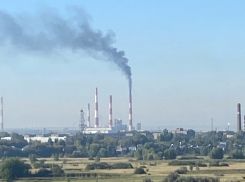 Отчаявшиеся жители Волгаря предлагают не водить детей в школу и детсад во время выбросов
