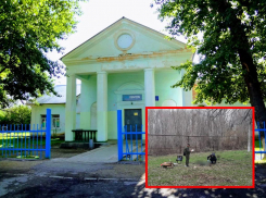Осуждён Емеля, растерзавший незнакомку на пороге дома культуры в Самарской области