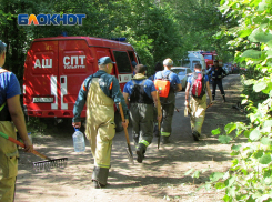 Последний рубеж: самарские спасатели остановили распространение пожара в заповедном лесу возле Бахиловой Поляны