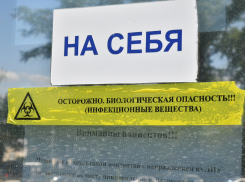 В Самарской области зарегистрировано 370 новых случаев коронавируса