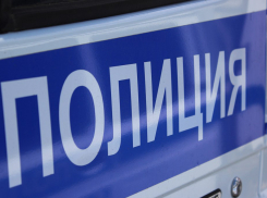 В МВД прокомментировали инцидент на школьной линейке в Ташёлке