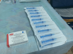 В Самарской области за сутки зарегистрировано 207 новых случаев коронавируса
