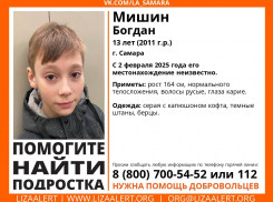 В Самаре разыскивают 13-летнего Богдана Мишина  