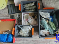 В Тольятти задержана наркосбытчица с крупной партией наркотиков