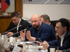 Владимир Кошелев предлагает не выпускать бродячих собак обратно после отлова