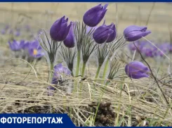 В Самару пришёл апрель