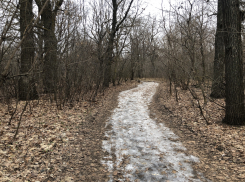 В понедельник в Самаре будет пасмурно и морозно
