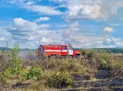 В Самарской области потушили крупный лесной пожар