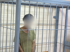 Суд арестовал подозреваемого в убийстве Екатерины Карась на 2 месяца