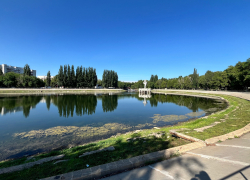 В парке 50-летия Октября на Металлурге почти высохло озеро