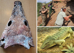 Она помнит динозавров: в Самарской области нашли пятиметровую жабу-хищника с зубами и хвостом