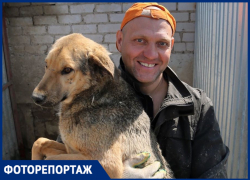Собачий приют в Козелках перешёл к новым хозяевам