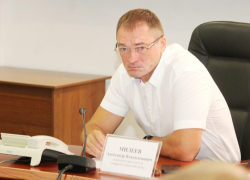 Умники и умницы: в Самарской области объявили предварительные итоги ЕГЭ