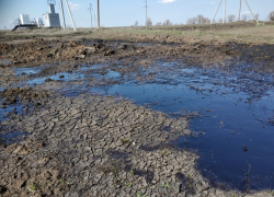 В Нефтегорском районе выявили загрязнение сельхозземель нефтью