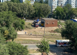 «Всю Самару превратили в пустыню»: самарцы пожаловались на вырубку деревьев на Ташкентской улице