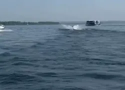 В Самаре нашли 28 нарушений на речном транспорте