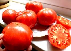 Из них делали варенье: в Самарской области исчезли томаты, ставшие визитной карточкой региона