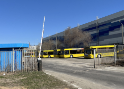 «Транспорта нет!»: Кошелев парк, Тольятти и Сызрань страдают от нехватки транспорта 