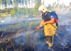 В Тольятти снова произошёл лесной пожар