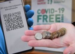 Стало известно, сколько платят контролёрам по проверке QR-кодов в торговых центрах Самары