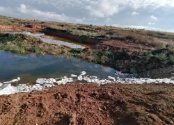 Самарский завод заплатит 43 миллиона за загрязнение земли