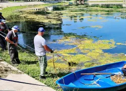 В Самаре спасают озеро Песчаное в парке Металлургов
