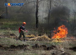 Пожар в лесу под Жигулёвском достиг площади 1 гектар