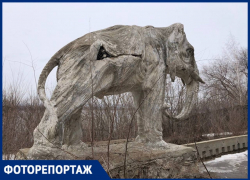 Дом со слонами: публикуем уникальные кадры реставрации Дачи купца Головкина