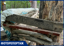 «Эля досягаемая»: полянка с именами девушек в тольяттинском лесу приводит в ужас…