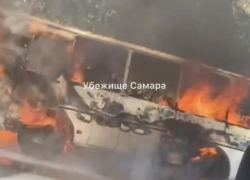 «Высадил пассажиров, не доезжая до остановки»: в МВД прокомментировали возгорание автобуса на проспекте Кирова