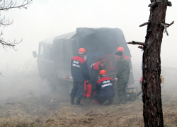 Пожар в Борском районе локализован