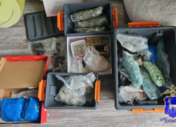 В Тольятти задержана наркосбытчица с крупной партией наркотиков