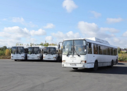 В Самарскую область в ближайшее время поставят 210 автобусов