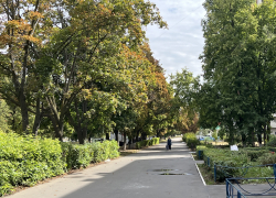 В Самарской области объявлен жёлтый уровень опасности из-за ветра